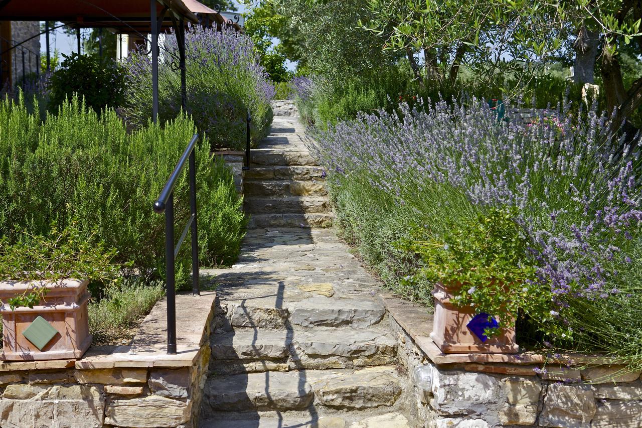 Fonte Magia Bed & Breakfast Castel de' Fiori Exterior foto
