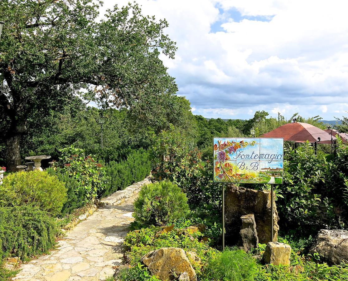 Fonte Magia Bed & Breakfast Castel de' Fiori Exterior foto